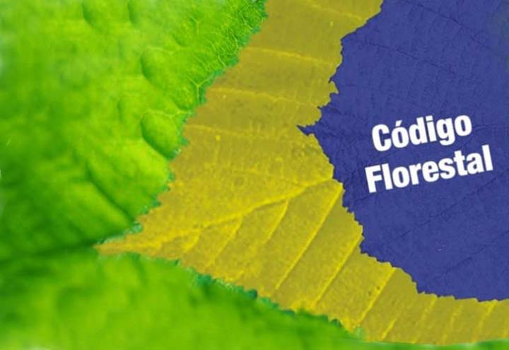 Novo Código Florestal fez país perder até 40% de áreas protegidas